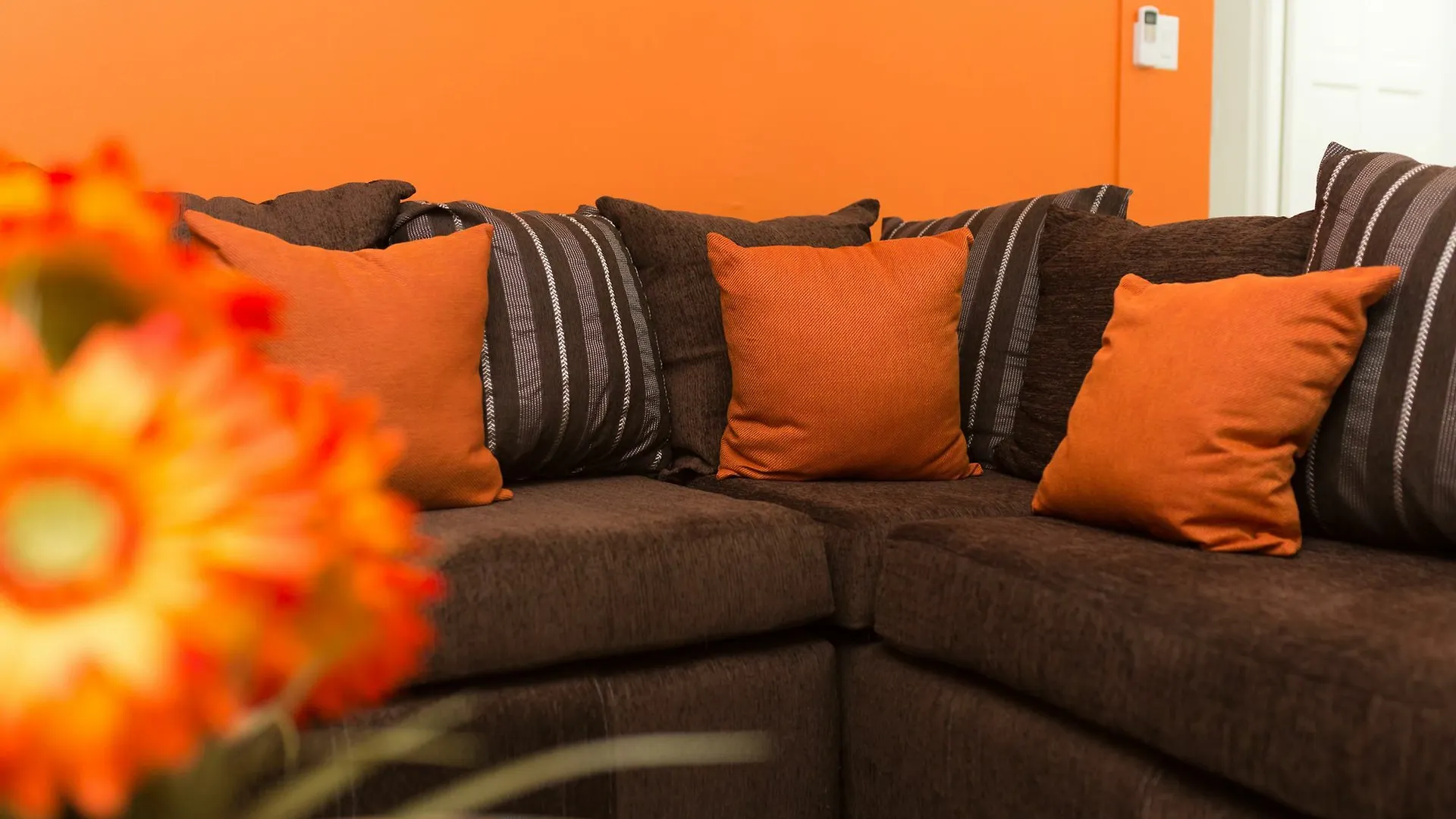 New Kingston Premium Guest Apartment 0*,  Jamaica