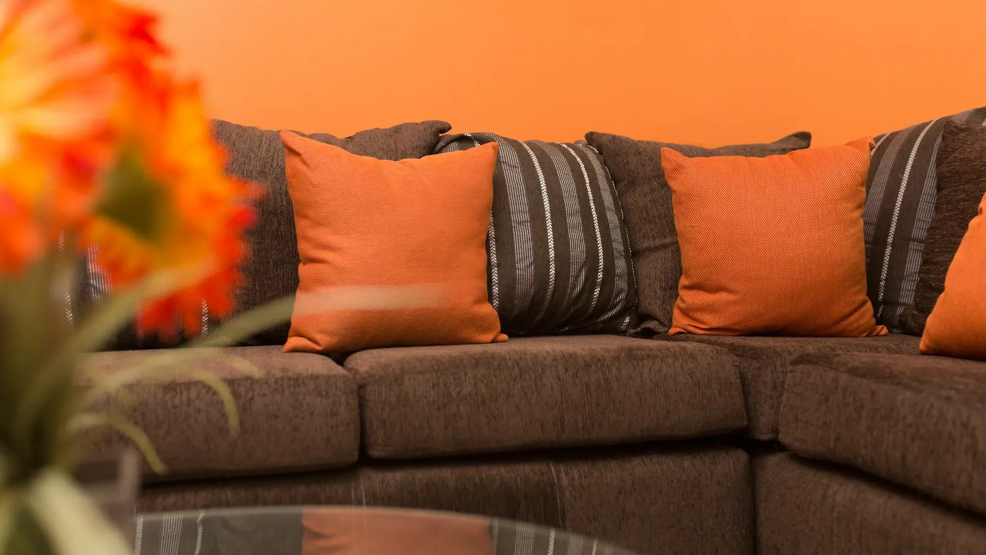 New Kingston Premium Guest Apartment